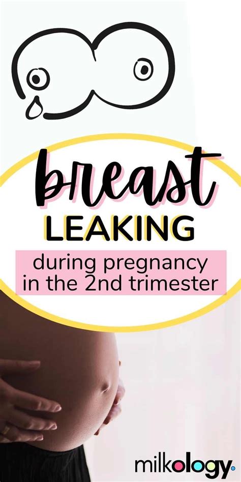 Breast Leaking During Pregnancy 2nd Trimester